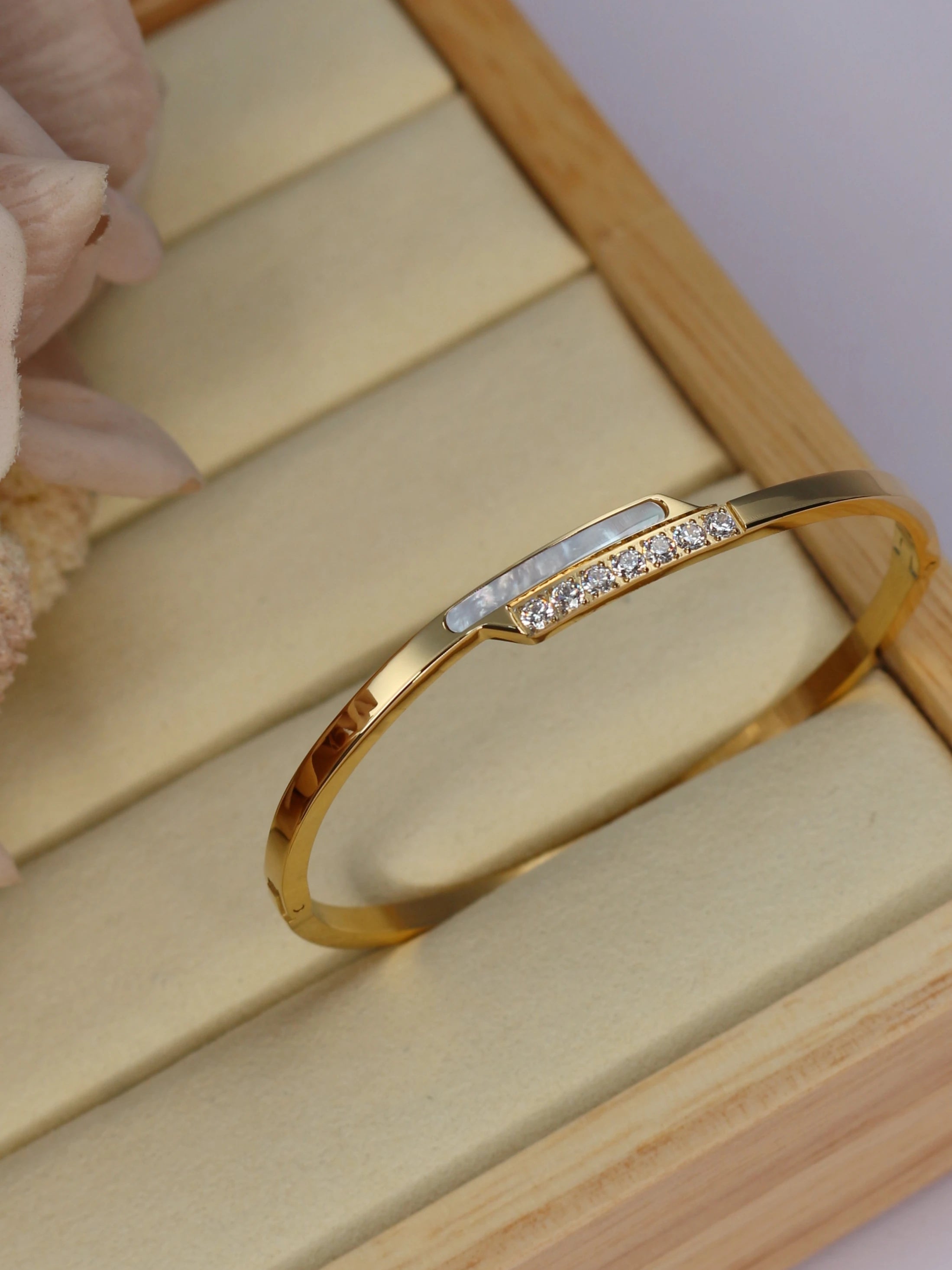 Shellara ✨ Stainless Steel