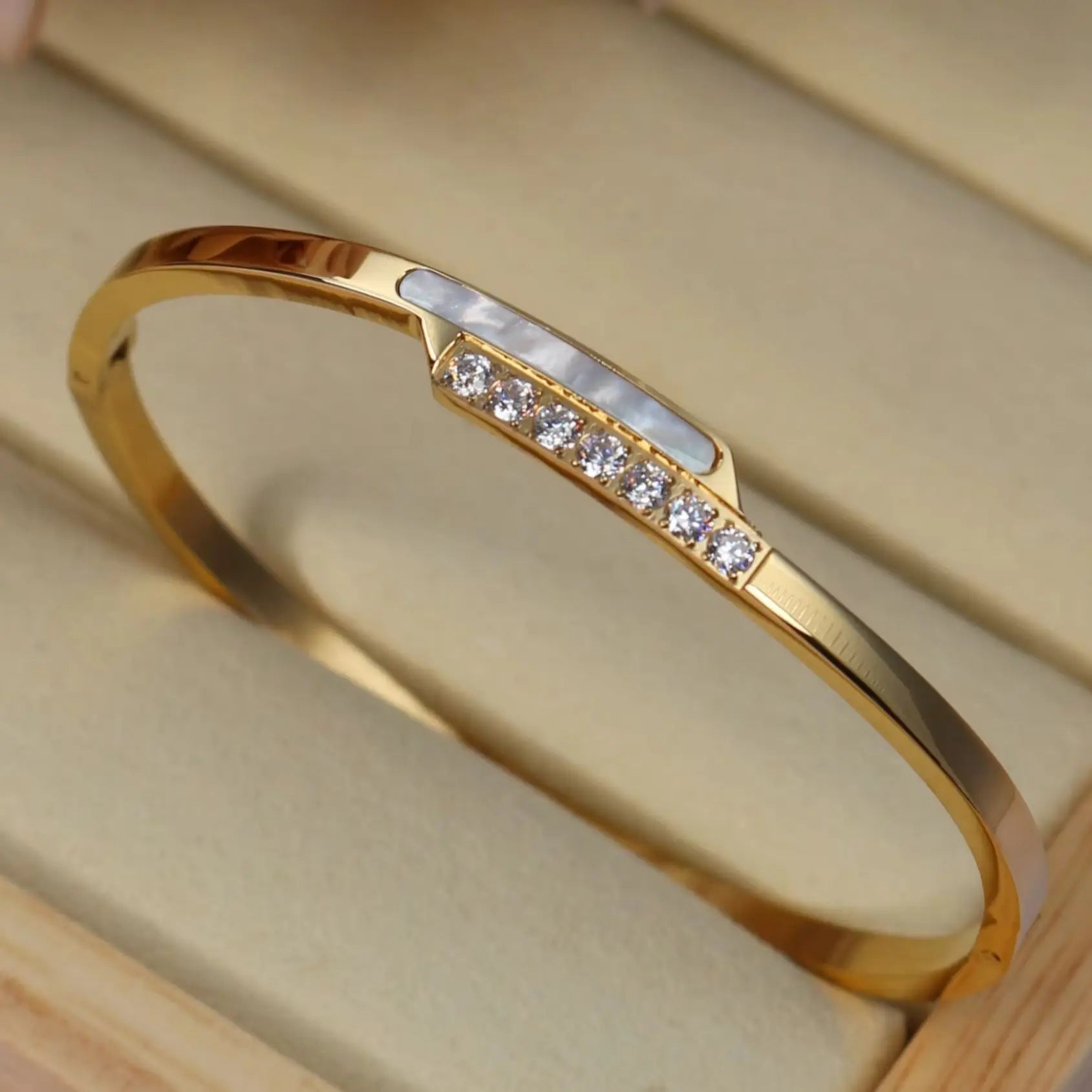 Shellara ✨ Stainless Steel